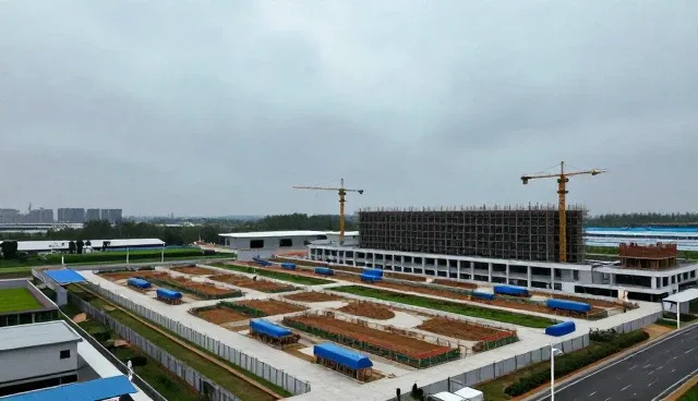 服务优化视角下的流程优化建议实践